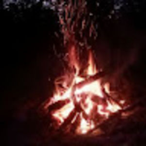 Meet your Posher, Beck